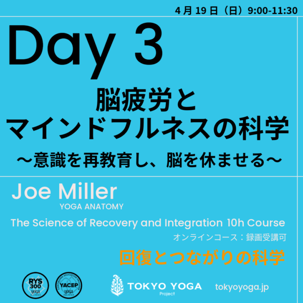 2月1日（日）〜ヨガ解剖学：回復とつながりの科学 JoeMiller - 画像 (4)