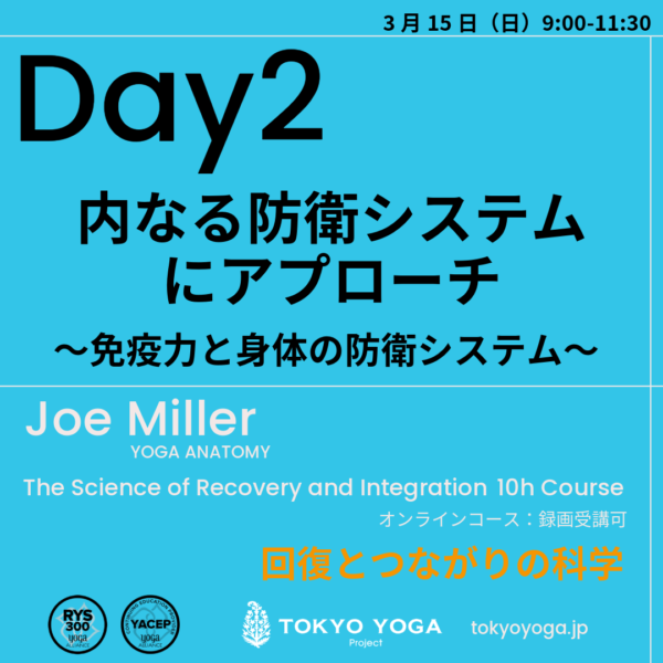 2月1日（日）〜ヨガ解剖学：回復とつながりの科学 JoeMiller - 画像 (3)