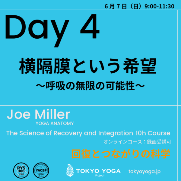 2月1日（日）〜ヨガ解剖学：回復とつながりの科学 JoeMiller - 画像 (5)