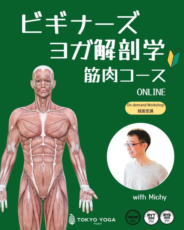 【録画受講】ビギナーズヨガ解剖学「筋肉」