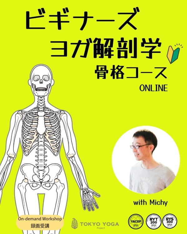 【録画受講】ビギナーズヨガ解剖学「骨格」