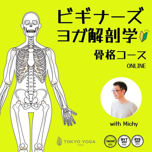 3/12〜ビギナーズヨガ解剖学「骨格」ミッチー