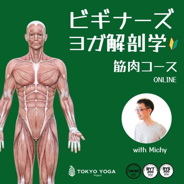5/9〜ビギナーズヨガ解剖学「筋肉」ミッチー