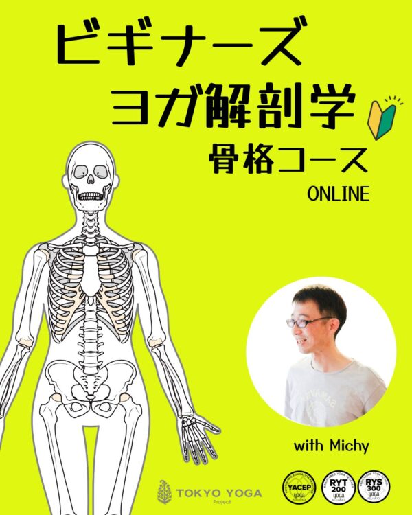 ビギナーズヨガ解剖学「骨格」