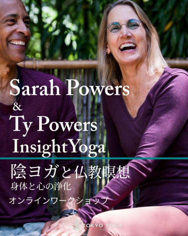 陰ヨガと仏教瞑想「身体と心の浄化」InsightYoga