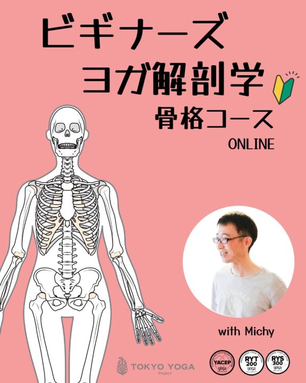 ビギナーズヨガ解剖学「骨格」